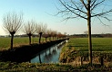 37-Dsc_1646 landschap Leur